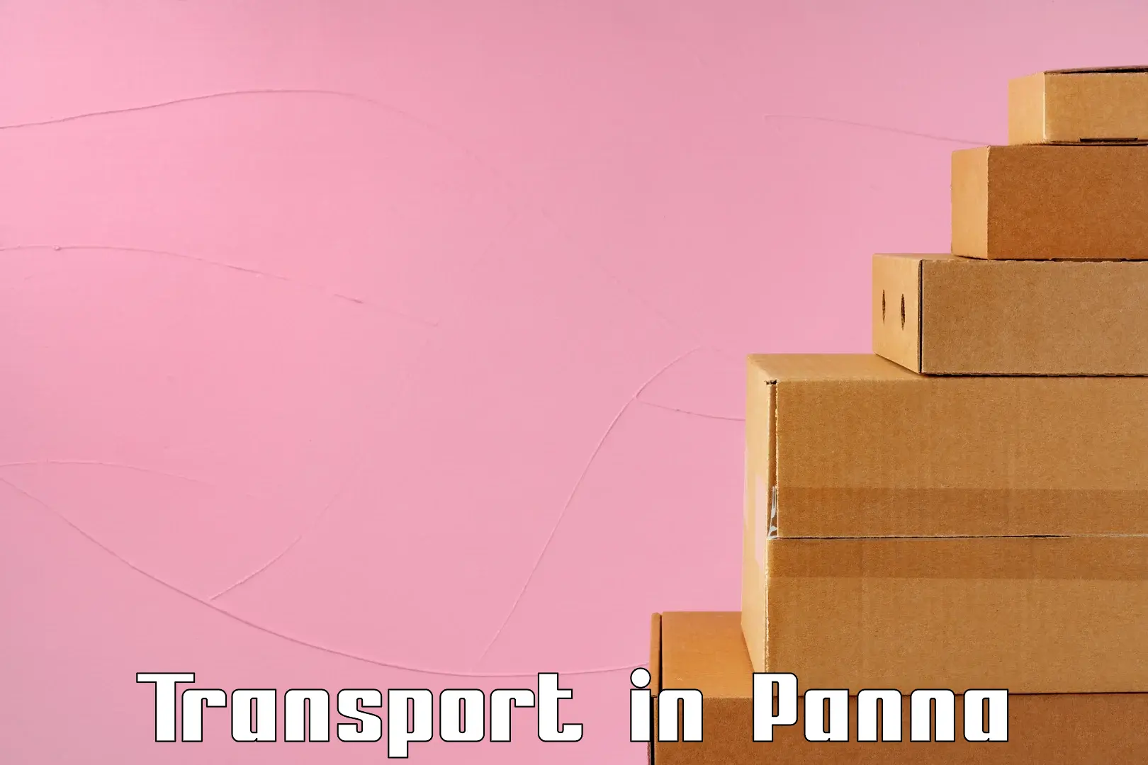 Cargo transport services in Panna