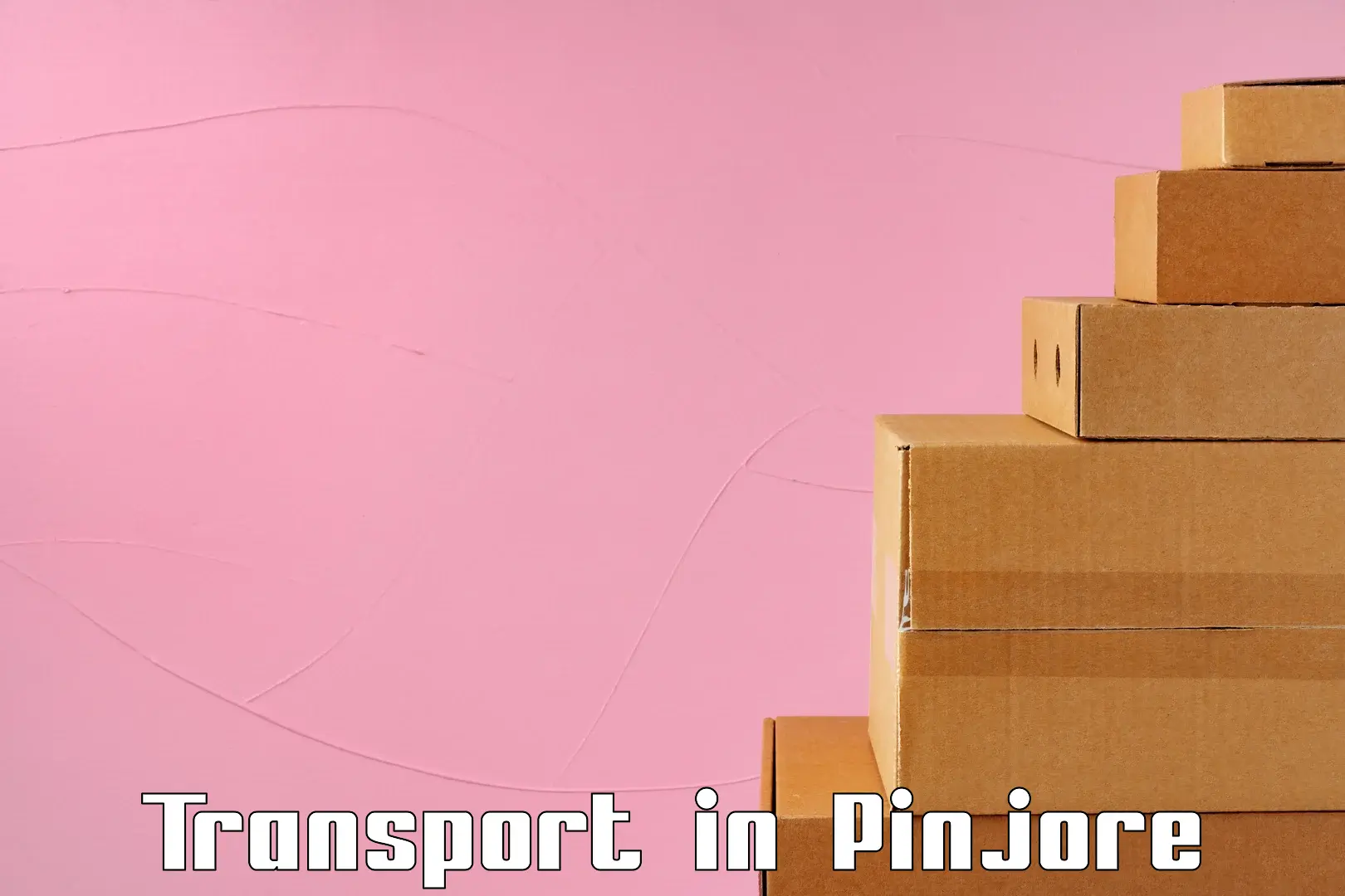 Vehicle courier services in Pinjore