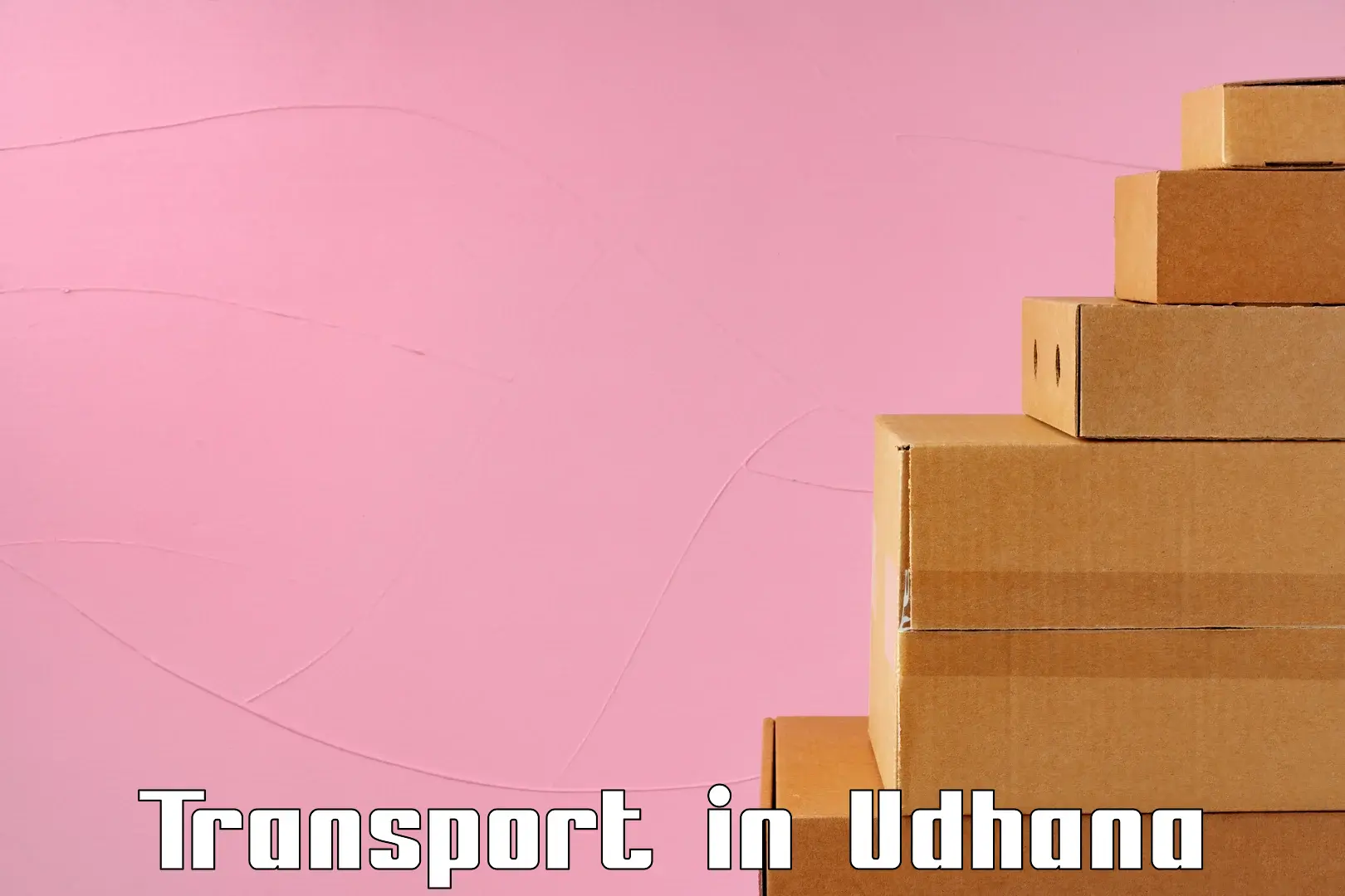 Air cargo transport services in Udhana
