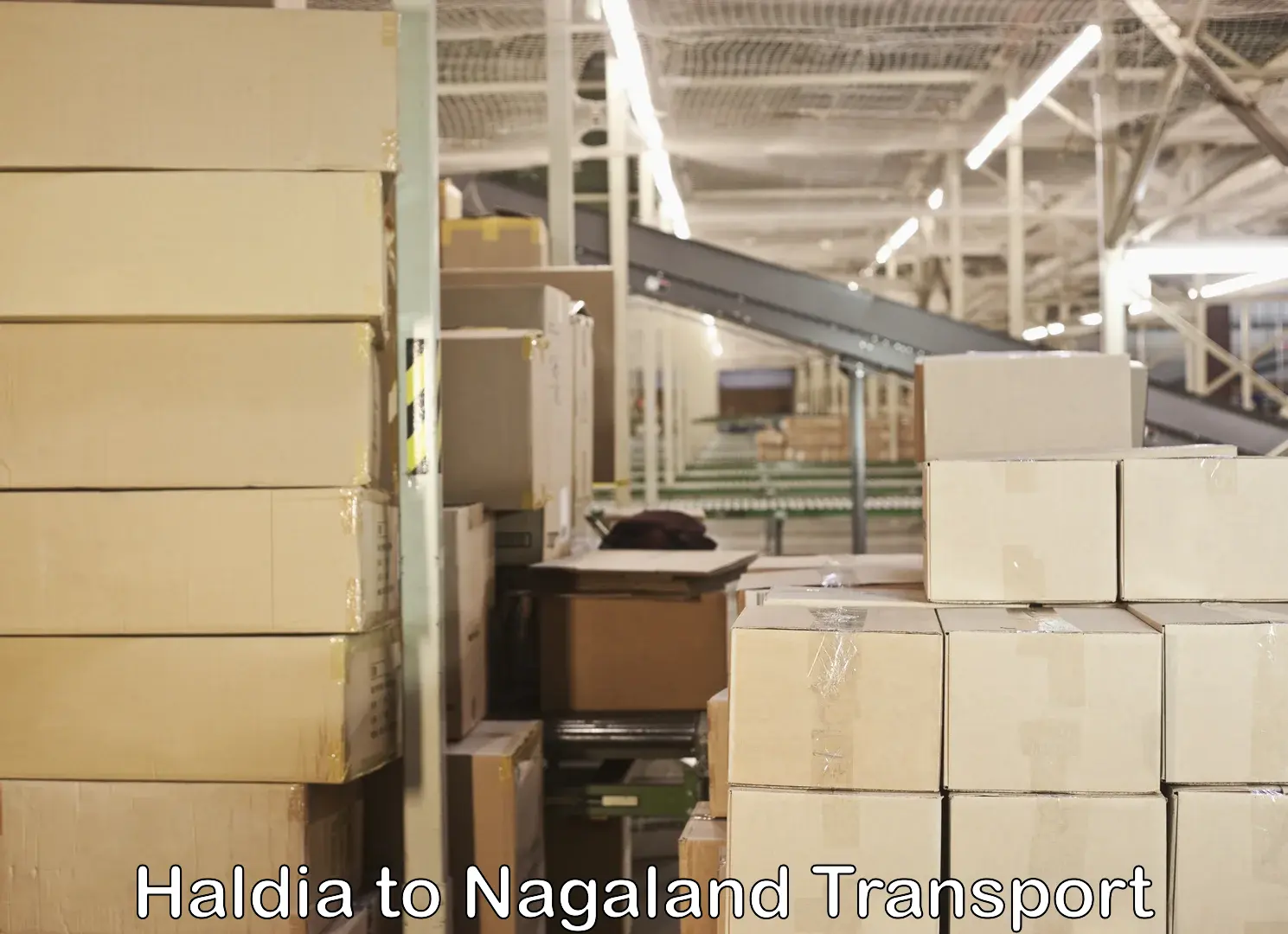 Package delivery services Haldia to Nagaland