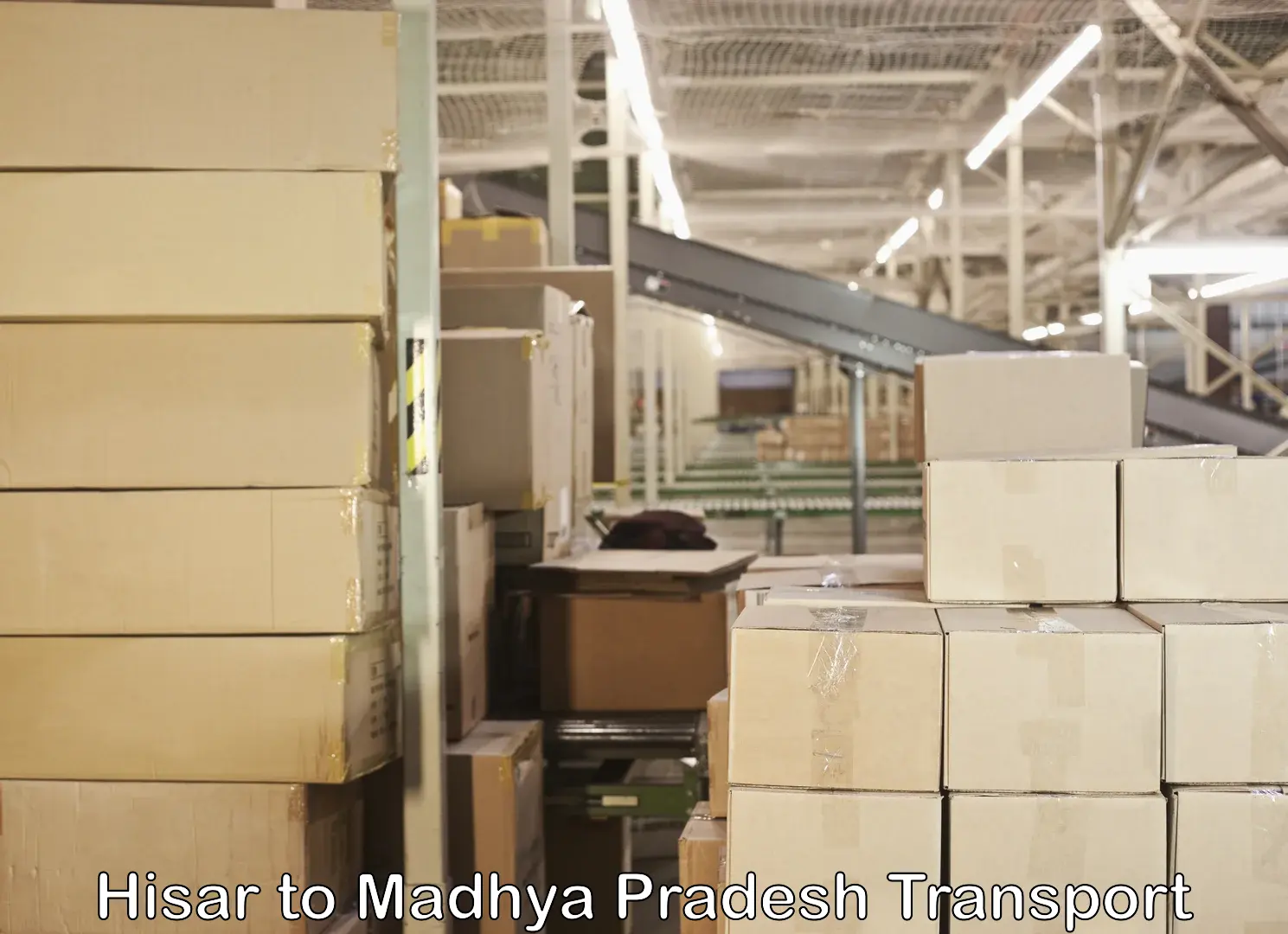 Cargo transportation services Hisar to Madhya Pradesh