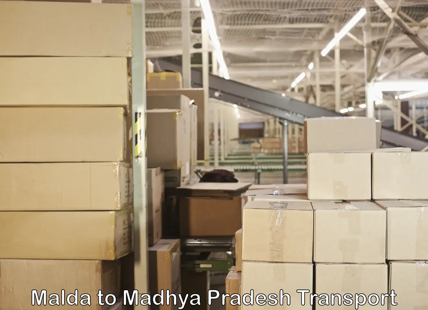 Parcel transport services Malda to Gwalior