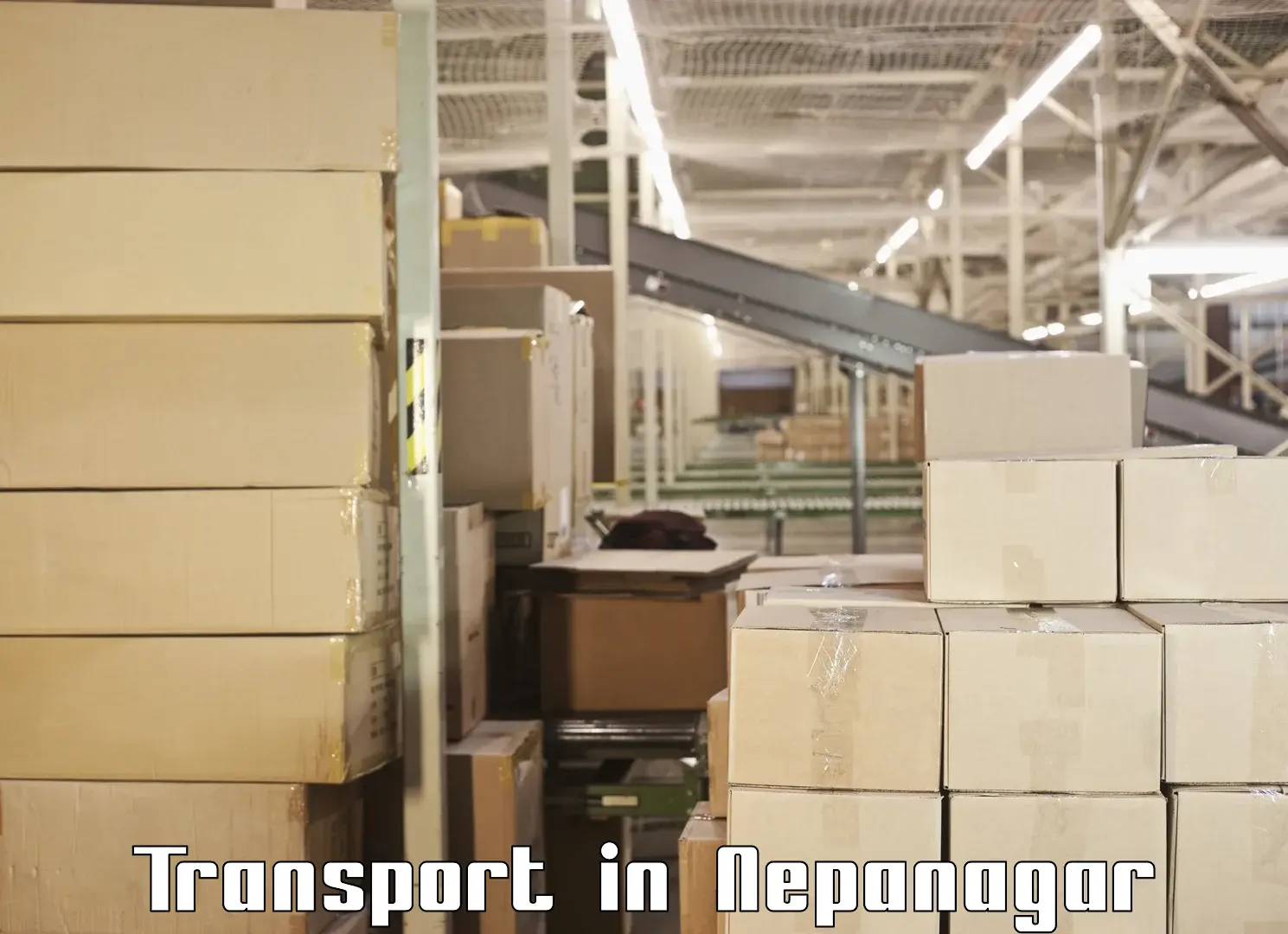 Cargo transportation services in Nepanagar