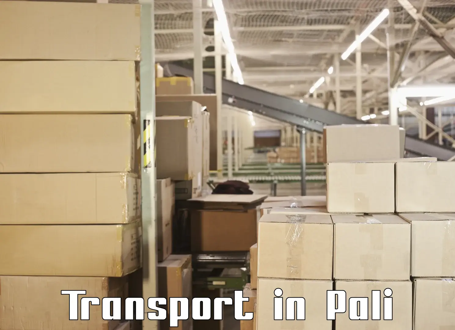 Express transport services in Pali